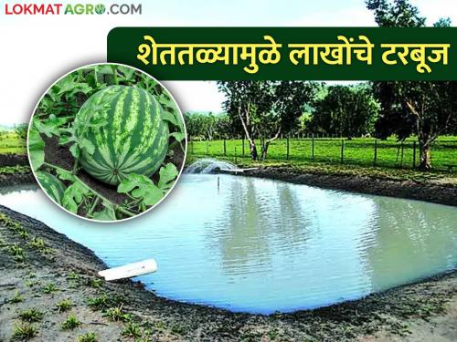 1 lakh 35 thousand net profit to the farmer from one acre of watermelon in seventy days | सत्तर दिवसांत एक एकर टरबूज मधून शेतकऱ्याला १ लाख ३५ हजारांचा निव्वळ नफा