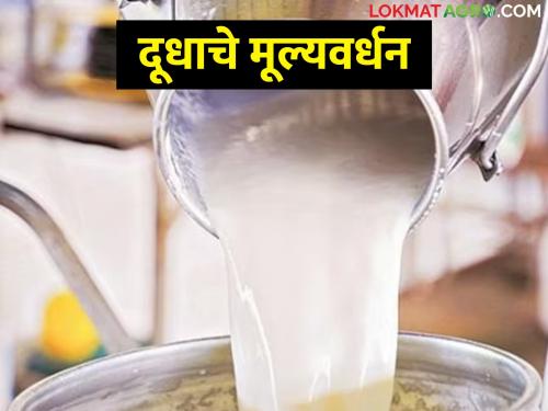 Money does not come from selling milk; Then try this solution | दूध विकून पैसे हाती येत नाही; मग हा उपाय करून बघा