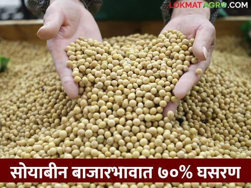 Soybean prices hit rock bottom; Cost of production is not coming in hand | सोयाबीनचे भाव गेले तळाला; उत्पादन खर्च ही हाती पडेना