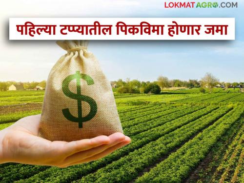 The crop insurance amount of the farmers in the first phase will be credited to the account | पहिल्या टप्प्यातील शेतकऱ्यांची पीकविमा रक्कम खात्यावर जमा होणार