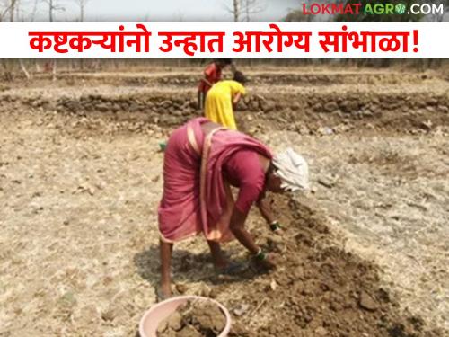 Farm workers should take care of their health in the dry sun! | रखरखत्या उन्हात शेतमजुरांनी आपले आरोग्य सांभाळावे!