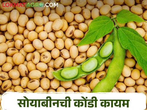 Even though almost five months have passed, soybeans are still in the house | आज उद्या करीत जवळपास पाच महिन्यांचा कालावधी उलटला तरीही सोयाबीन घरातच