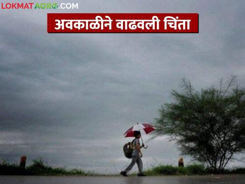 The forecast of unseasonal weather increased the farmers' anxiety | अवकाळीच्या अंदाजामुळे शेतकऱ्यांची चिंता वाढली