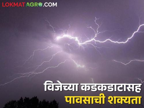 Farmers, citizens should be careful: Chance of rain with wind | शेतकरी, नागरिकांनी दक्षता घ्यावी : वाऱ्यासह पावसाची शक्यता