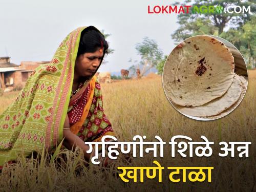 Farming girls! If you eat stale food, your health will deteriorate; It is also necessary to pay attention to exercise | शेतीतल्या लेकींनो! शिळे अन्न खाल्ले तर आरोग्य बिघडणार; व्यायामाकडेही लक्ष देणे गरजेचे