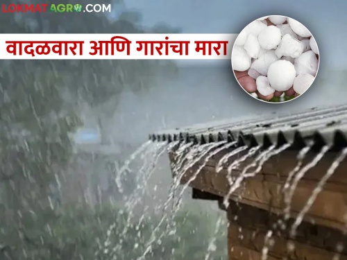 Unseasonal rains; Hailstorm in various parts of Marathwada | अवकाळीने उडाली दाणादाण; मराठवाड्याच्या विविध भागांत गारपीट