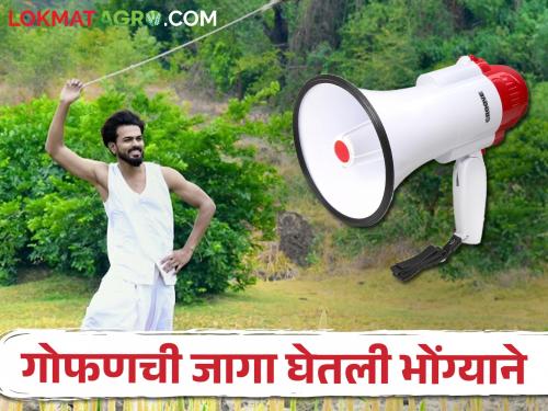 The 'sling' that drove the birds away passed the veil of time; Increased use of speaker | पाखरं हकलणारी 'गोफण' गेली काळाच्या पडद्याआड; भोंग्यांचा वापर वाढला