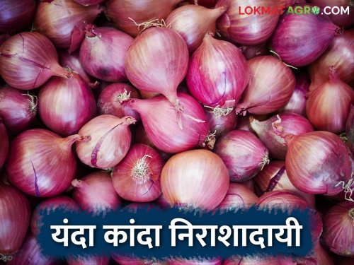 Onion brought tears to the eyes of the farmers | कांद्याने आणले उत्पादक शेतकऱ्यांच्या डोळ्यांमध्ये पाणी