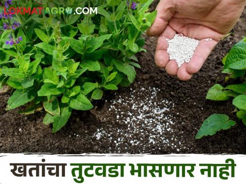 There will be no shortage of fertilizers; 17 thousand metric tons of chemical fertilizer approved | खतांचा तुटवडा भासणार नाही; १७ हजार मेट्रिक टन रासायनिक खत मंजूर