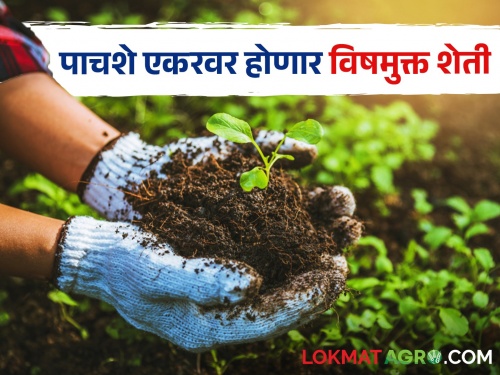 Toxic free farming project to be implemented on five hundred acre area of Marathwada | मराठवाड्याच्या पाचशे एकर क्षेत्रावर राबविला जाणार विषमुक्त शेतीचा प्रकल्प