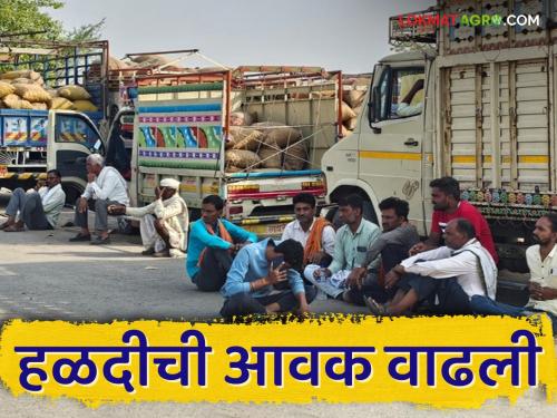 A kilometer long queue of vehicles was formed outside the Hingoli market yard to sell turmeric | हिंगोली मार्केट यार्डाबाहेर हळद विक्रीसाठी लागली एक किलोमीटर पर्यंत वाहनांची रांग