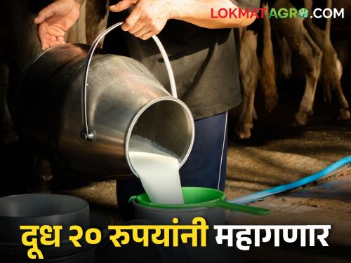 The cost of maintaining cattle increased; Milk rate increased 20 rupees | गुरांच्या देखभालीचा खर्च वाढला; दूध आता २० रुपयांनी महागणार