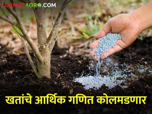 A further increase in the cost of chemical fertilizers; Farmers in trouble | रासायनिक खतांच्या किमतींत पुन्हा वाढ; शेतकरी अडचणीत