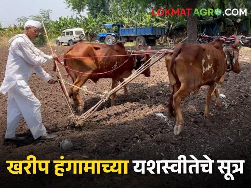 Prepare for Kharif season like this; Then crop will come vigorously and there will be prosperity | खरीप हंगामाची अशी करा पूर्वतयारी; पीक येईल जोमाने होईल भरभराट सारी