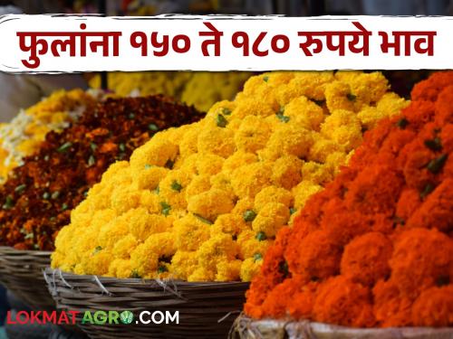 With the increase in the use of flowers in various events; Flower farming is profitable | विविध कार्यक्रमात फुलांचा वापर वाढल्याने; फुलांची शेती ठरतेय फायद्याची