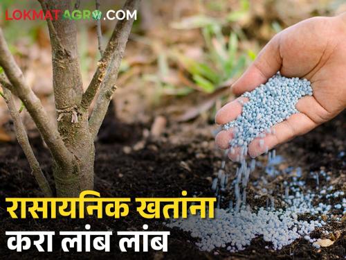 Farmer brothers, avoid excessive use of chemical fertilizers this year; Agriculture Department Advice on Use of Organic Fertilizers | शेतकरी बांधवांनो यंदा रासायनिक खतांचा अतिवापर टाळा; सेंद्रिय खते वापरण्याचा कृषी विभागाचा सल्ला