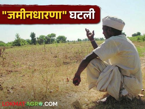 Farmers from hectare to acre and now to gunta; Land holding decreased | हेक्टरवरून एकरवर अन् आता गुंठ्यावर आले शेतकरी; भू धारणा घटली