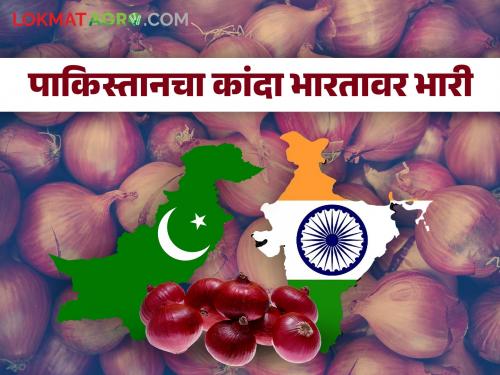 Onion hit by export price and duty; The price difference is Rs 44 per kg | कांद्याला निर्यातमूल्य व शुल्कचा फटका; दरात प्रतिकिलाे ४४ रुपयांची तफावत