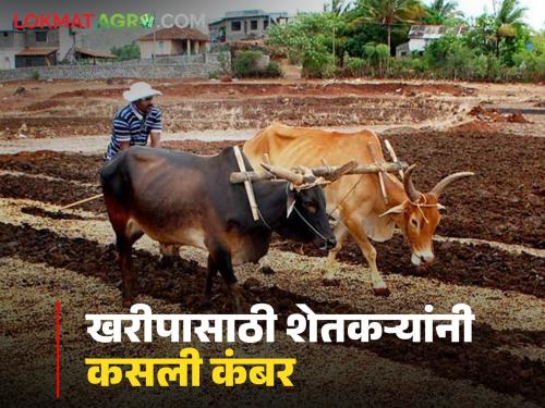 Baliraja's exercise in arranging money for the sowing of the upcoming Kharif season | आगामी खरीप हंगामाच्या पेरणीसाठी पैशांची जुळवाजुळव करताना बळीराजाची कसरत