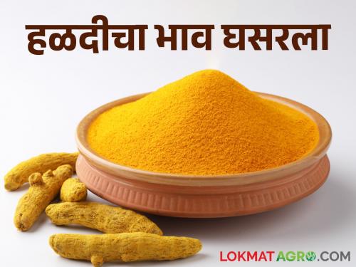 The price of turmeric fell by 500; The fear of producers increased! | हळदीचा भाव पाचशेने घसरला; उत्पादकांची धाकधूक वाढली!