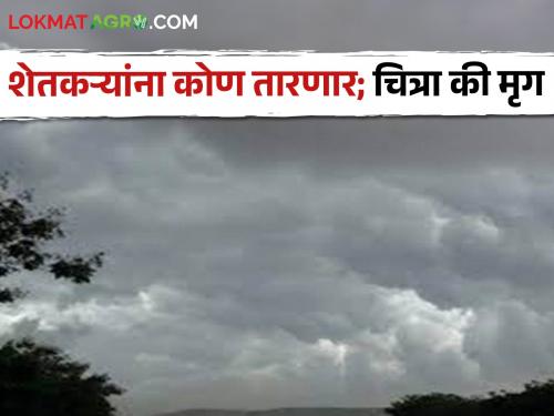 Fox of mrug, buffalo of picture; Which constellation will save the farmers this monsoon season? | मृगाचा कोल्हा, चित्राची म्हैस; शेतकऱ्यांना यंदा पावसाळ्यात कोणते नक्षत्र तारणार?