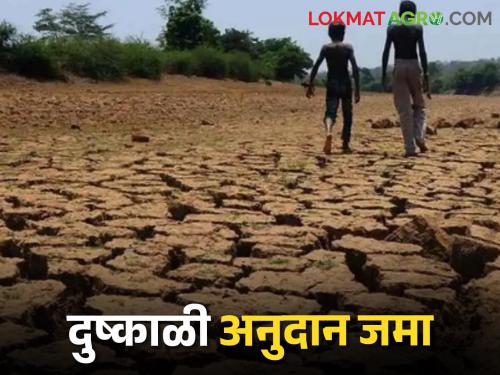 Accumulation of Drought Grants; Farmers got relief as help came to the account | दुष्काळी अनुदान जमा; खात्यावर मदत आल्याने शेतकऱ्यांना मिळाला दिलासा