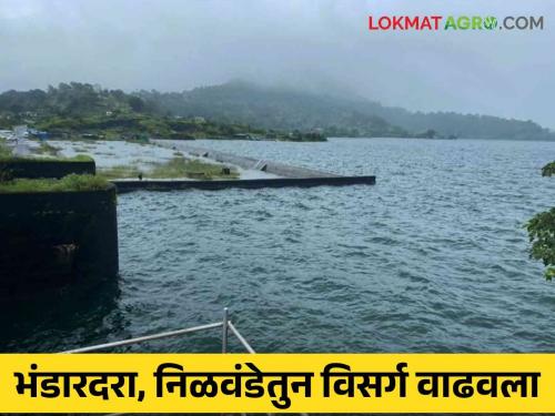 Latest News Bhandardara, Nilavande dam increased water discharge, Pravara river flood see details | Bhandardara Dam Discharged : भंडारदरा, निळवंडे धरणातून विसर्ग वाढविला, प्रवरा नदीला पाणीच पाणी