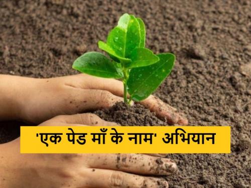 Latest News Ek Ped Maa Ke Naam tree plantation campaign, committed to planting 80 crore saplings by September 2024  | Ek Ped Maa Ke Naam : 'एक पेड माँ के नाम' अभियान, सप्टेंबर 2024 पर्यंत 80 कोटी रोपे लावण्याचा निर्धार 