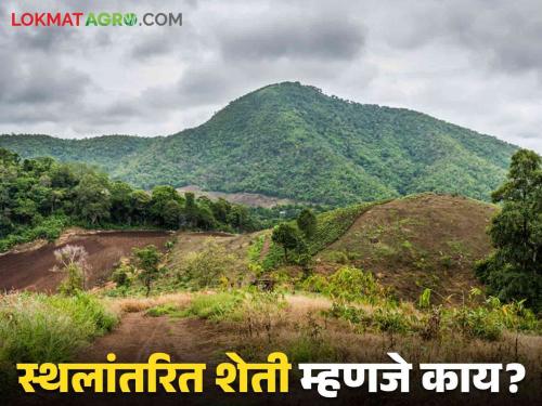 latest News agriculture News What is called shifting cultivation Know in detail  | Shifting Cultivation : स्थलांतरित शेती कशाला म्हणतात? जाणून घ्या सविस्तर 