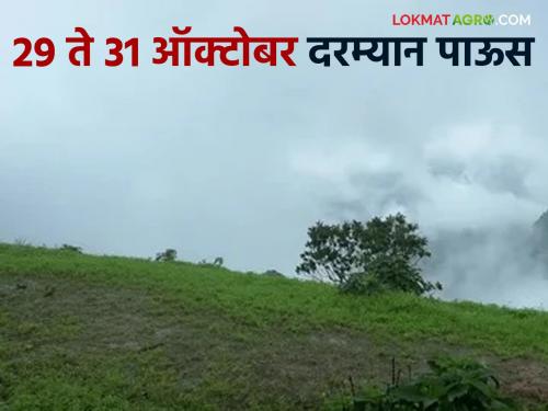 Latest news Maharashtra Rain Update Rain in these district of Maharashtra from 29th to 31st October, read in detail  | Maharashtra Rain Update : महाराष्ट्रातील 'या' जिल्ह्यात 29 ते 31 ऑक्टोबर दरम्यान पाऊस, वाचा सविस्तर 