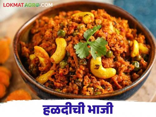 Latest News Halad Bhaji Importance of Turmeric in Winter, Make Turmeric Bhaji at Home, Read More   | Haladichi Bhaji : हिवाळ्यात हळदीला महत्व, अशी करा घरच्या घरी हळदीची भाजी, वाचा सविस्तर  