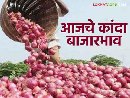 Latest News Kanda Bajarbhav Highest arrival of onion in Kolhapur, see today market price | Kanda Bajarbhav : कोल्हापुरात कांद्याची सर्वाधिक आवक, वाचा आजचे बाजारभाव