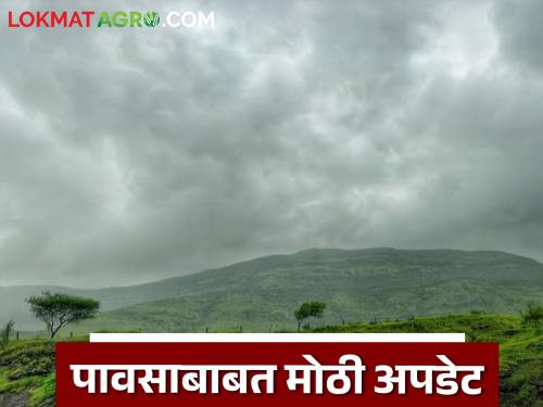 Maharashtra Rain Update now no chance of rain in Maharashtra, Know the weather forecast               | Maharashtra Rain Update : महाराष्ट्रात पावसाची शक्यता नाही, कारण... जाणून घ्या हवामान अंदाज              