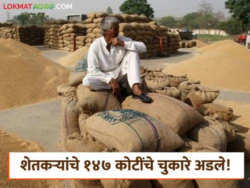 14 thousand farmers' paddy purchase arrears worth Rs 147 crore stalled; Farmers' pockets empty ahead of Kharif | १४ हजार शेतकऱ्यांच्या धान खरेदीचे १४७ कोटींचे चुकारे अडले; खरीपाच्या तोंडावर शेतकऱ्यांचे खिसे खाली