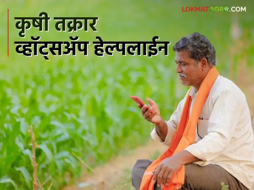 Latest News whatsapp number implemented to solve problems of farmers department of agriculture | Agriculture News : शेतकऱ्यांनो! 'हा' व्हाट्सऍप क्रमांक सेव्ह करून ठेवा, कृषी विभागाचे महत्वाचे आवाहन 