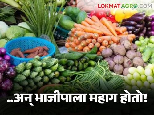 Food Chain Market: Farmers' agricultural produce does not get a fair price but vegetables are sold expensively? Read what is the reason | Food Chain Market : शेतकऱ्यांच्या शेतमालाला योग्य भाव मिळत नाही मात्र भाजीपाला तर महाग विकतो? वाचा काय आहे कारण