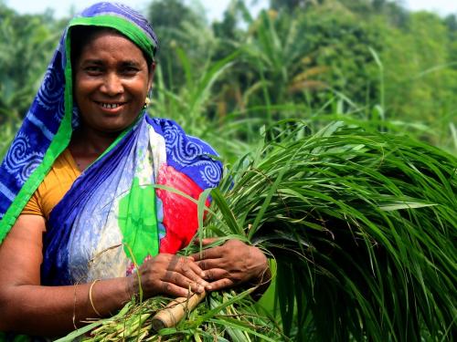 how to do stress free and happy farming revels dr ashok wasalwar | आरोग्य-पेरणी : शेतकरी बंधूंनो, खूप काळजी, खूप तणाव नकोच