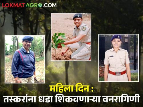 Latest News Fighting Women Forest Guard in Forest Department of nashik | Women's Day : जल, जंगल, जमिनीला सांभाळणाऱ्या अन् खैर तस्करांना धडा शिकवणाऱ्या वनरागिणी