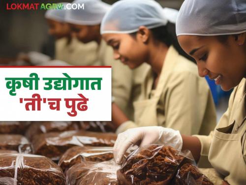 Women in agriculture processing industry; As many as 57 percent women owners in the Center's micro food processing industry scheme | 'कृषी उद्योगा'त महिला राज; केंद्राच्या सूक्ष्म अन्नप्रक्रिया उद्योग योजनेत तब्बल ५७ टक्के महिला