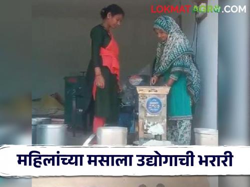 Latest News women of Gadchiroli set up a spice industry with savings of Rs 200 | Success Story : दुर्गम भागातील महिलांची यशोगाथा, 200 रुपयांच्या बचतीतून उभारला मसाला उद्योग