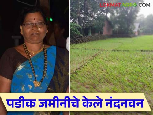 Women Farmer Success Story: Farmer Sunita Gotad found a way of income through agriculture and organic fertilizer production | Women Farmer Success Story : सुनीता गोताड यांनी शेती व खतनिर्मितीतून शोधला उत्पन्नाचा मार्ग