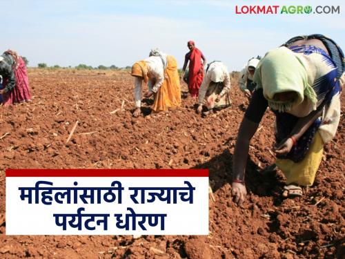 Tourism Department provides concessions for women farmers to set up agritourism businesses; How to apply? | पर्यटन विभागामार्फत महिलांसाठी कृषी पर्यटन व्यवसाय उभा करण्यासाठी सवलत; कसा कराल अर्ज?
