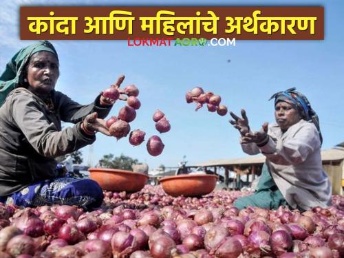 Latest News Onion of Nashik and women's economy lasalgaon bajar samiti | कांदा पिकामुळे महिलांचे अर्थकारण कसं बदललं?