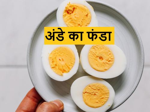world egg day 2023: How many eggs should be eaten per year to stay healthy? | world egg day: तंदुरूस्त राहण्यासाठी वर्षाला किती अंडी खावीत? जाणून घ्या