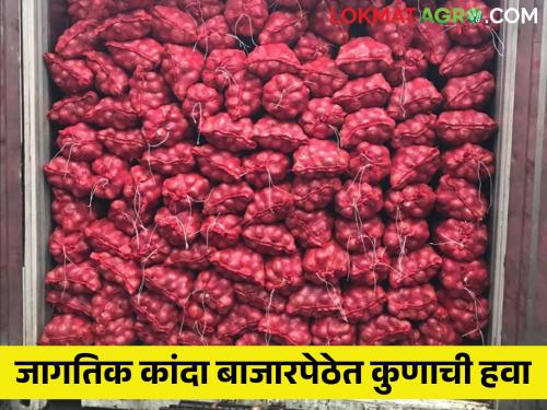 Onion of Pakistan got good price in world market; The export ban has major problem in onion market price farmer in Maharashtra | कांदा बाजारभाव; जागतिक बाजारपेठेत पाकिस्तानचा कांदा.. निर्यातबंदीने केलाय आमचा वांदा