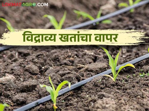 When and how to use water soluble fertilizers to reduce costs on fertilizers? | खतांवरील खर्च कमी करण्यासाठी विद्राव्य खतांचा वापर केव्हा व कसा करावा?