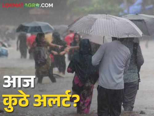 Weather Forecast; There will be rain with strong winds; Yellow alert in this part of the state | Weather Forecast वादळी वाऱ्यासह पाऊस होणार; राज्याच्या या भागात यलो अलर्ट