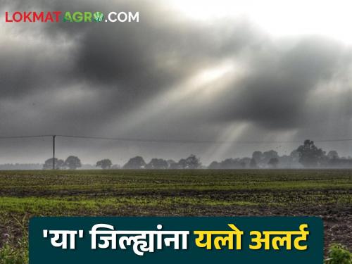 Maharashtra Weather Update : Heavy rain with thunder likely in these districts of the state | Maharashtra Weather Update : राज्यात 'या' जिल्ह्यांत मेघगर्जनेसह मुसळधार पावसाची शक्यता
