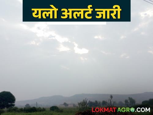 Weather Update: Rains return; Yellow alert for 'this' district in the state for two days | Weather Update : पावसाचे पुनरागमन; राज्यात 'या' जिल्ह्याला दोन दिवस यलो अलर्ट