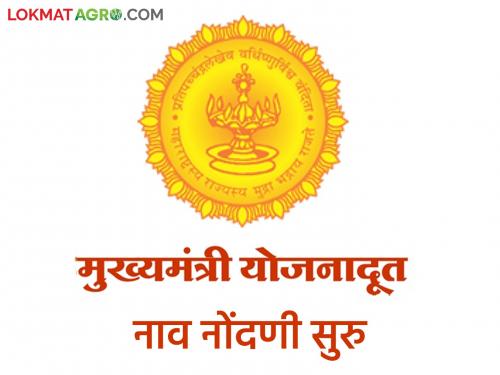 A golden opportunity for youth to earn 10 thousand rupees per month online name registration of this scheme of the state government has started | तरुणांना दरमहा १० हजार रूपये कमविण्याची सुवर्णसंधी राज्य सरकारच्या या योजनेची ऑनलाईन नाव नोंदणी सुरु